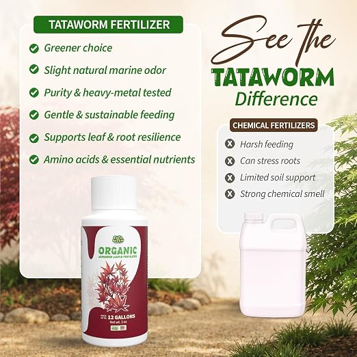 Japanese Maple Fertilizer