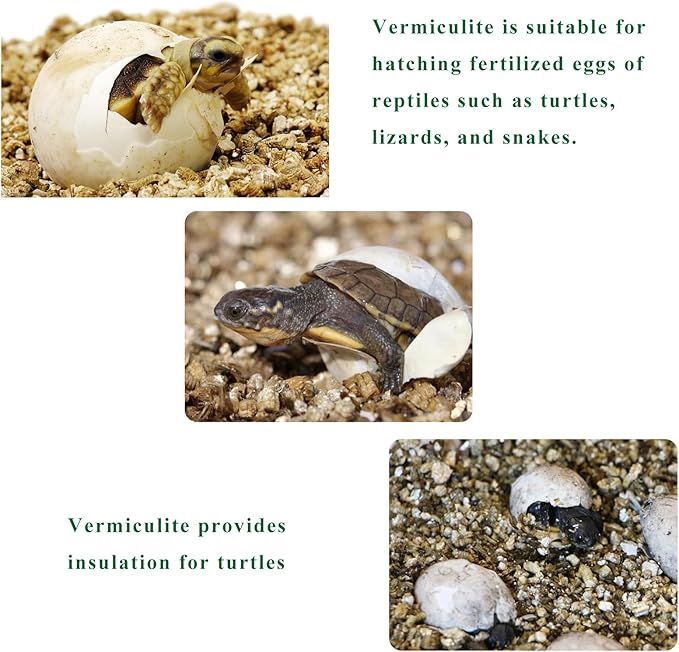 Vermiculite