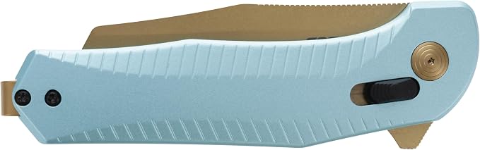 Light Blue + Gold