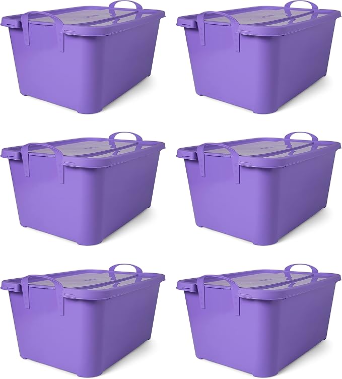 Solid Purple