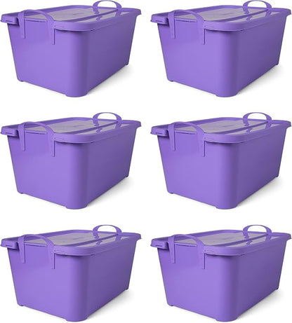 Solid Purple