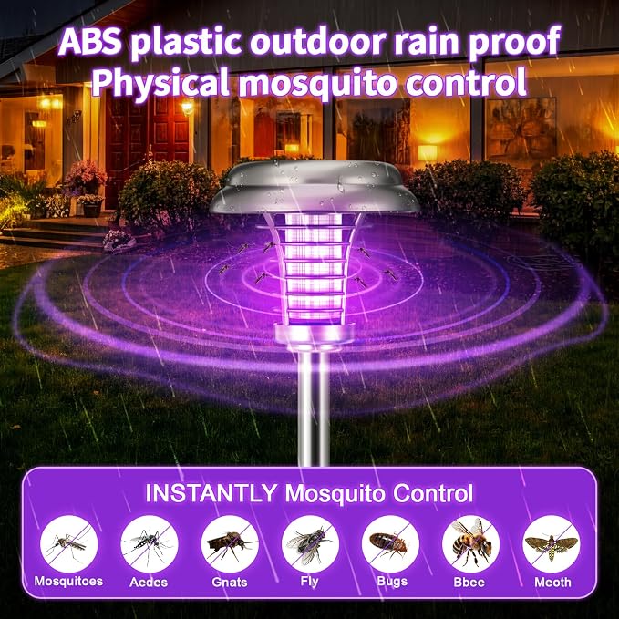 Purple & Colored Light