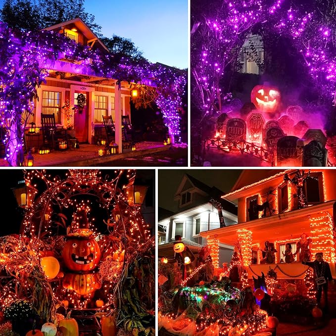 Purple to Orange