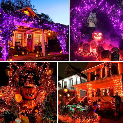 Purple to Orange