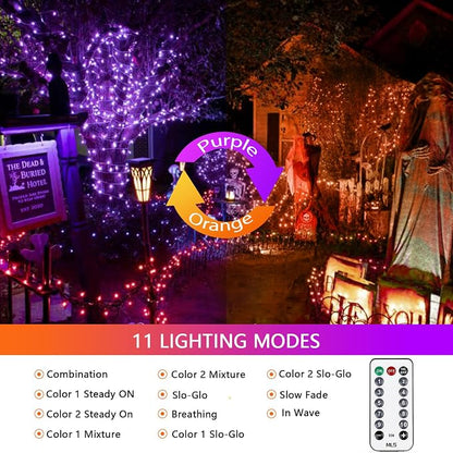 Orange to Purple