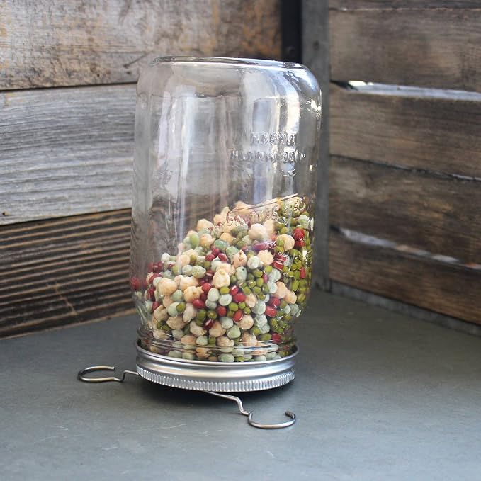 Sprouting Lids + Stands