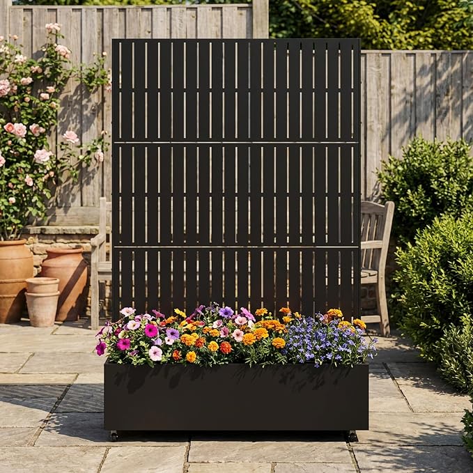Black-fence