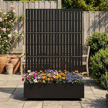 Black-fence