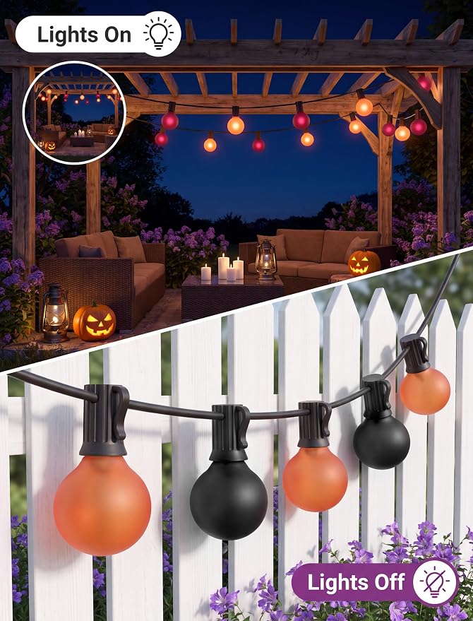 Frosted Orange Purple-Black