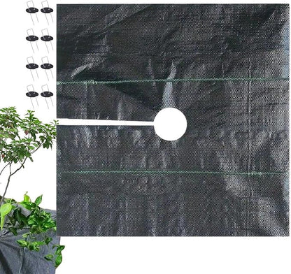 1.5×1.5 meters