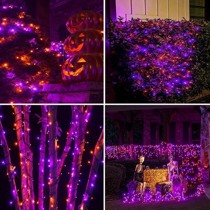 Orange and Purple