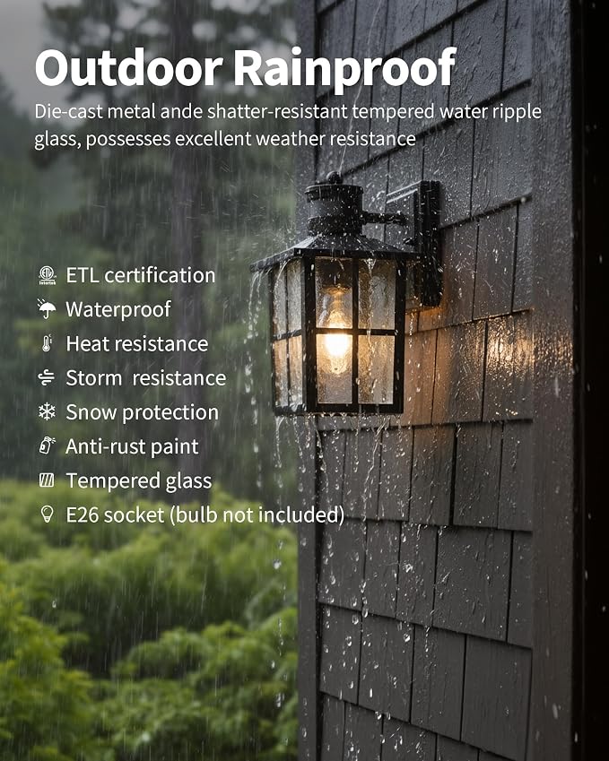 Black-Motion Sensor (2 Pack)