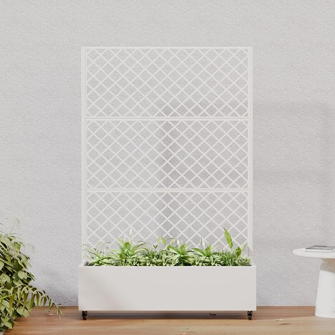 White-Rhombus