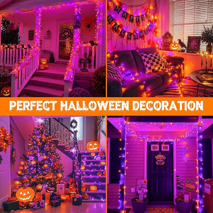 Purple & Orange