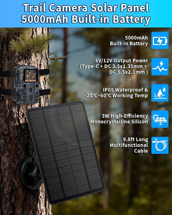 6V&12V