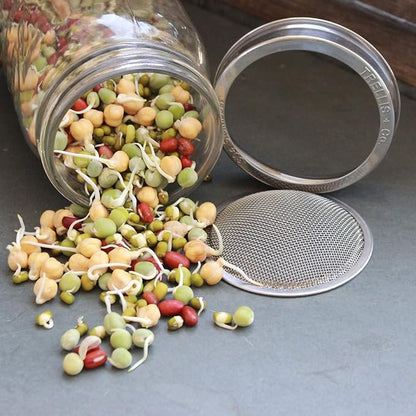 Sprouting Lids + Stands