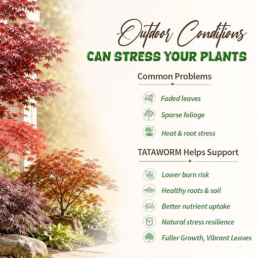 Japanese Maple Fertilizer