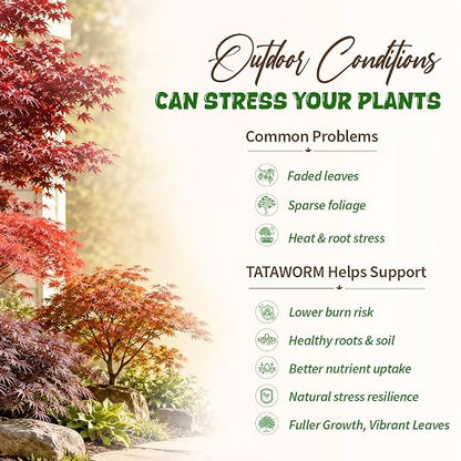 Japanese Maple Fertilizer
