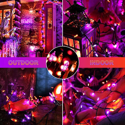 Orange + Purple