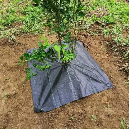 1.5×1.5 meters