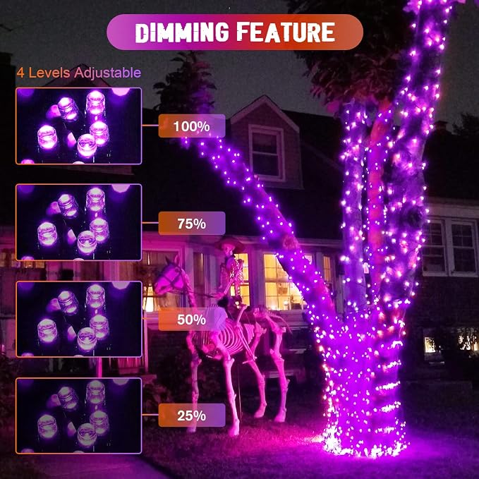 Purple to Orange