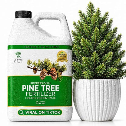 Pine Tree