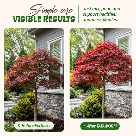 Japanese Maple Fertilizer