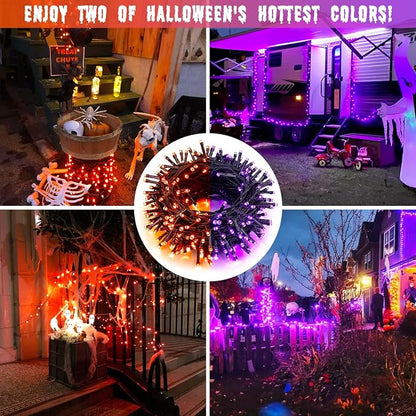 Orange to Purple
