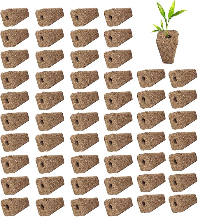 54 Pieces