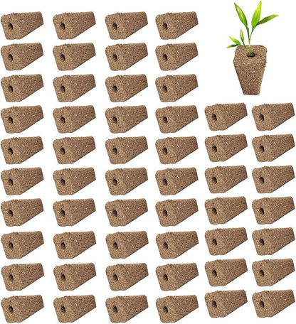 54 Pieces