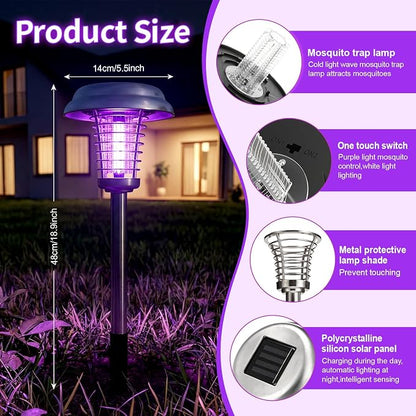 Purple & White Light