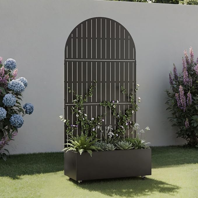 Black-fence-arched