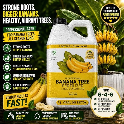 Banana Plant