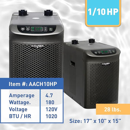 0.10 Hp