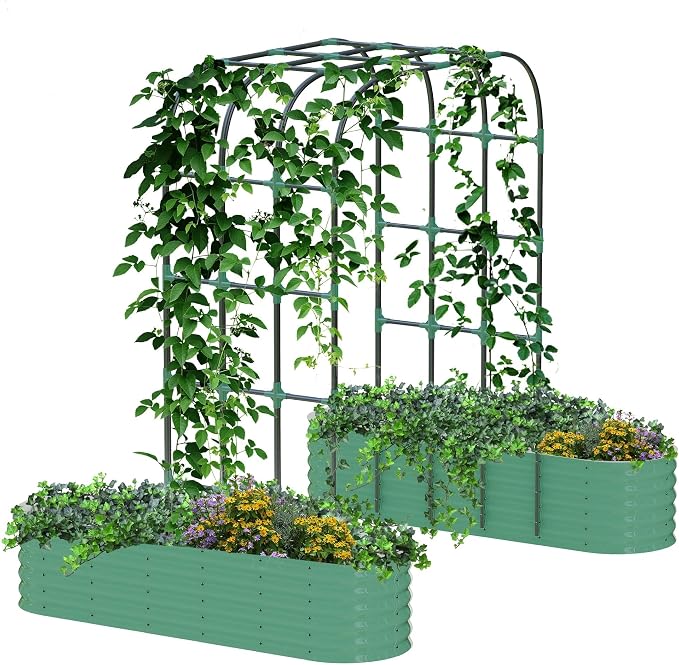 Green | W/ Arch Trellis
