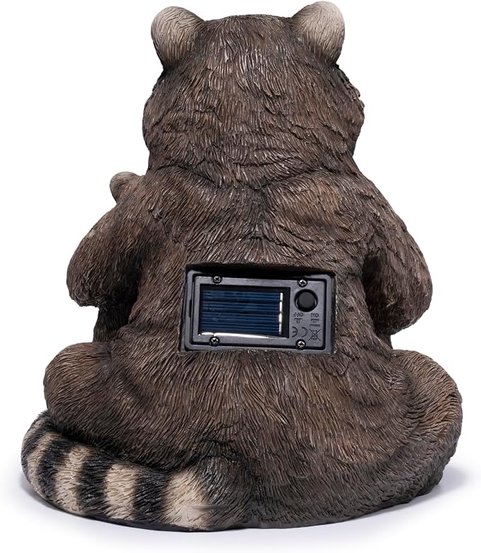 Raccoon Family