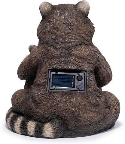 Raccoon Family