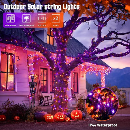 Orange and Purple