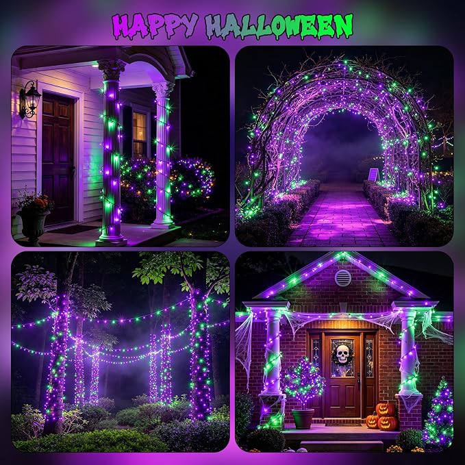 Purple & Green