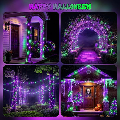 Purple & Green