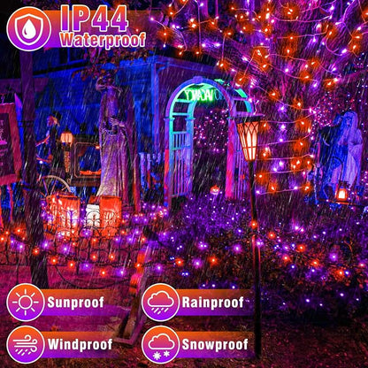 Orange and Purple