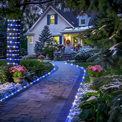 Blue and White
