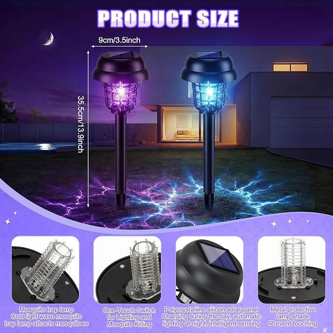 Purple and Colorful Light, Black