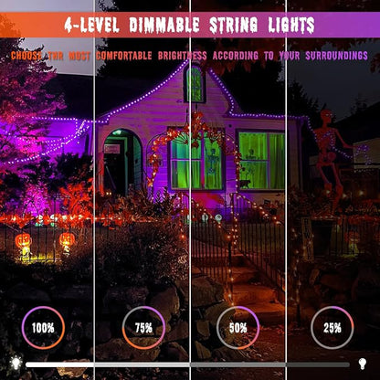 Orange to Purple