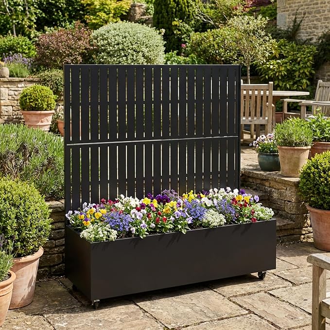 Black-fence