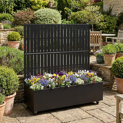 Black-fence