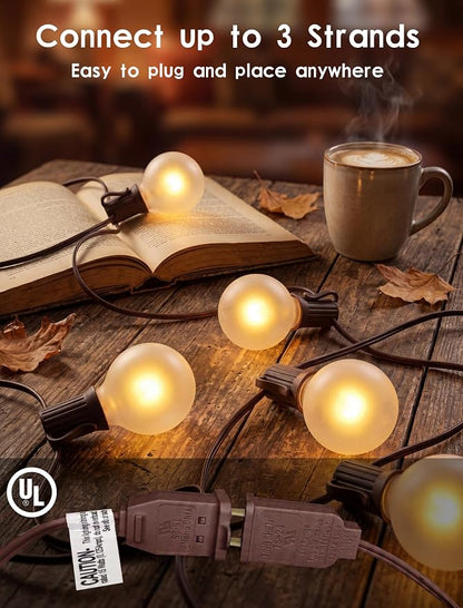 Frosted White-Brown