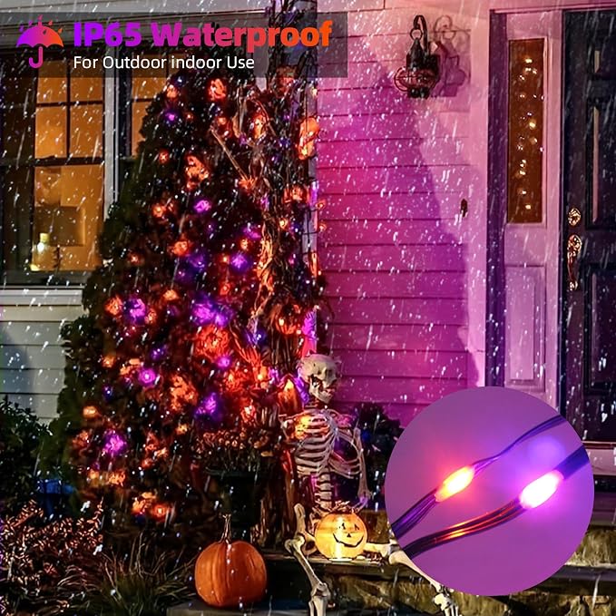 Orange + Purple