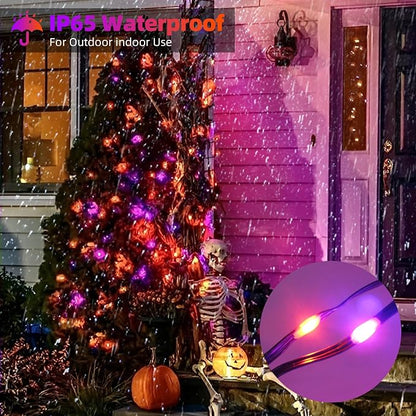 Orange + Purple