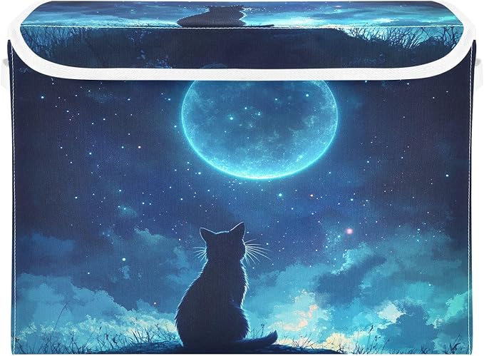 Black Cat Cosmic Dreamy